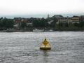 #10: View back to Oestrich-Winkel while on the Ferry