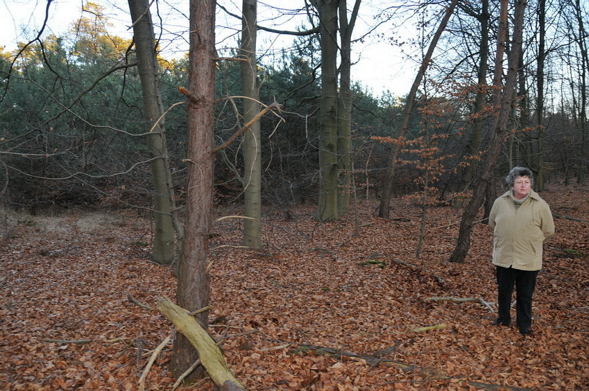 View south / Blick nach Süden