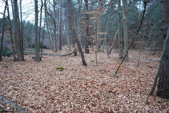#1: Location of CP