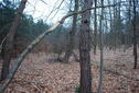 #3: View East