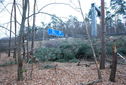#4: View South