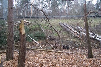 #1: General view of the confluence (towards S)