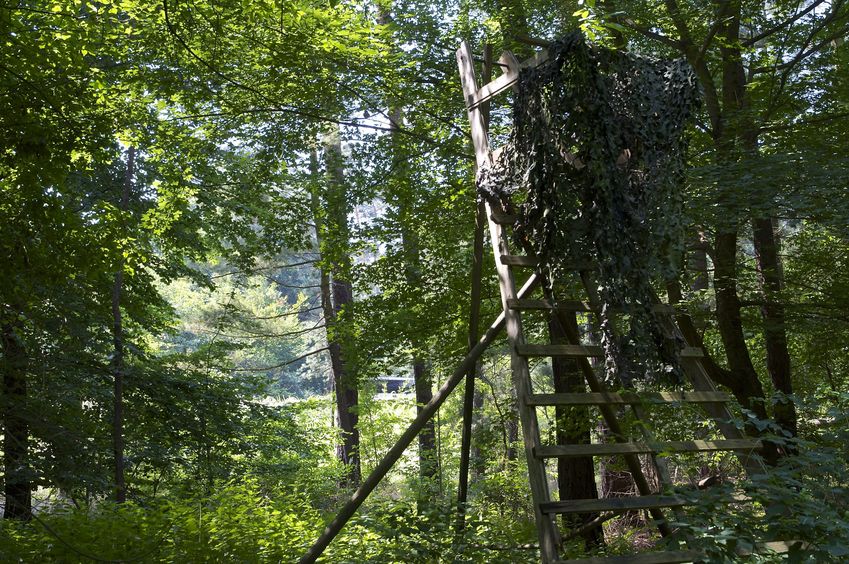 A hunting blind, seen near the confluence point.  (Notice the Autobahn in the background.)