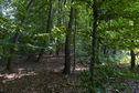 #2: View East