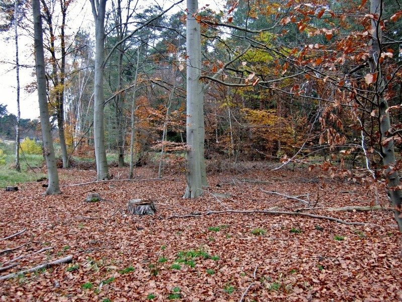 View from the point to the West