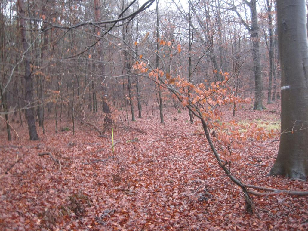 Osten; view east