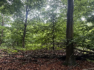#2: View to the South
