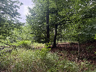 #3: View to the West