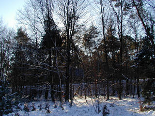 #1: the view S with the motorway A3 in the background
