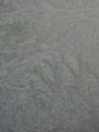 #7: iceflowers on the window of an greenhouse 750m N of the DCP