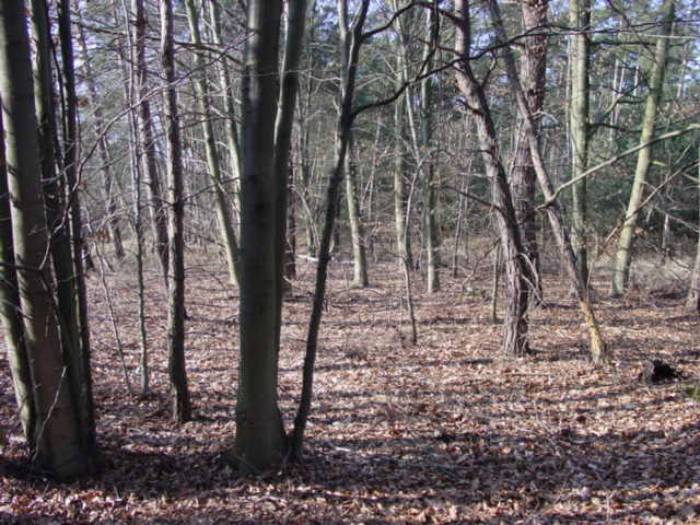 The view West