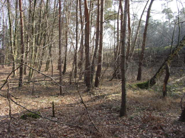 The view east - the A3 autobahn is also visible in this direction