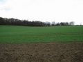 #2: view East