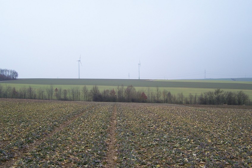 View towards S from the confluence