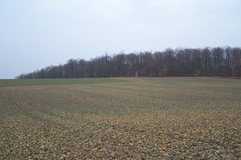 #1: General view of the confluence (towards N)