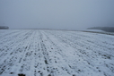 #4: View to South