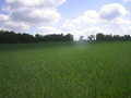 #3: View to the east
