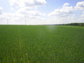 #4: View to the south