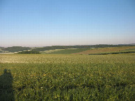 #4: Westen; view west