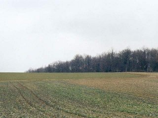 #1: View to the north from the confluence (muddy field again)