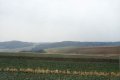 #5: View to the south, the monument is behind the bright patch in the distance where a small tree is visible