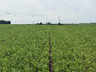 #2: View to the south 