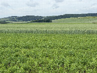 #3: View to the West