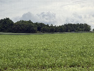 #5: View to the East