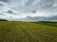 #4: south