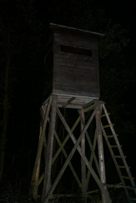 A raised hide near the confluence point / Ein Hochsitz in der Nähe des Confluence Punktes