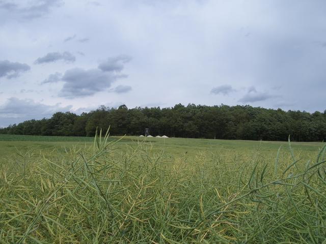 View from CP towards north