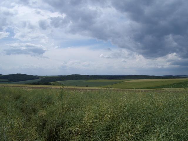 View from CP towards west