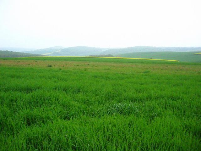 The Confluence - View to the West