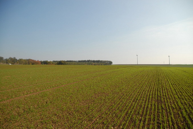 View south / Blick nach Süden