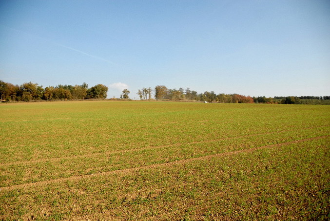 View east / Blick nach Osten