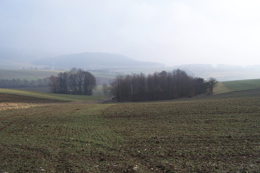 General view of the confluence (towards E, ca. 200 m away)