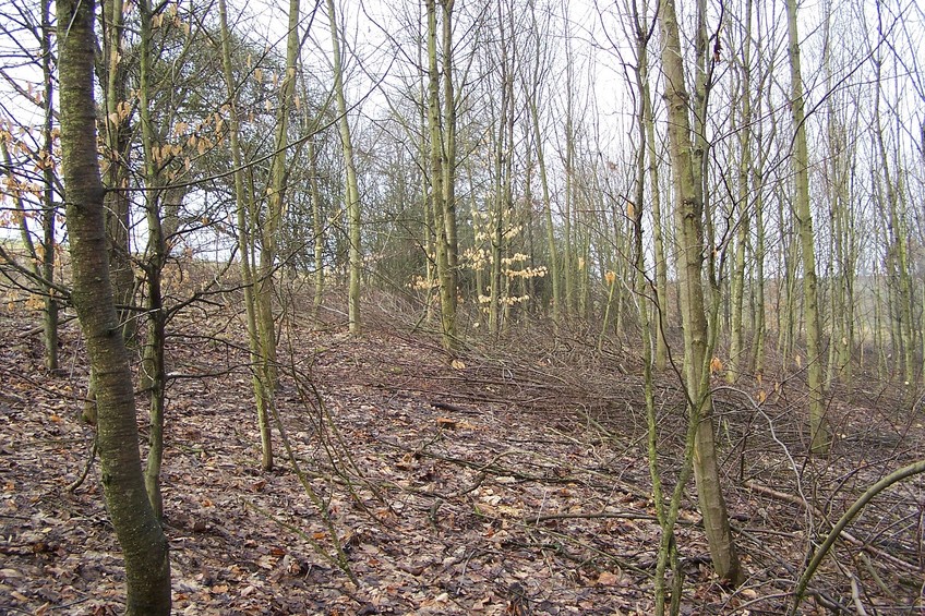 View towards W from the confluence