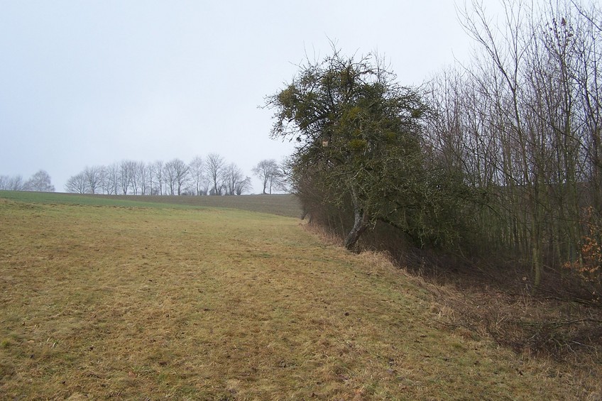 View towards W from several meters above the confluence