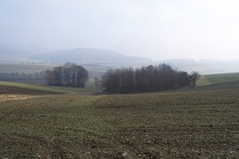 #1: General view of the confluence (towards E, ca. 200 m away)