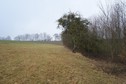 #5: View towards W from several meters above the confluence