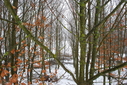 #2: View to direction North