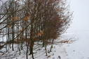 #3: View to the East