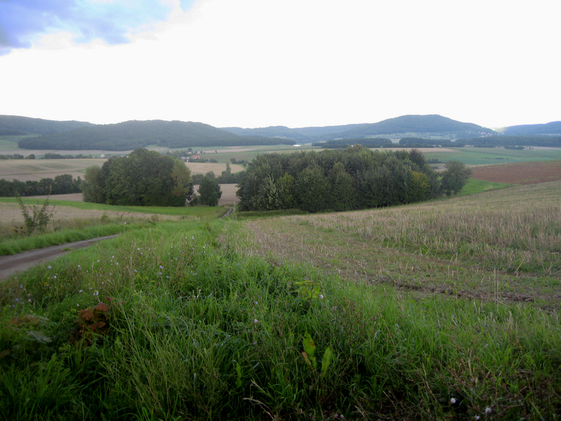 View at confluence site (300m, view to east)