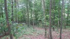 #2: North