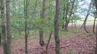 #3: East