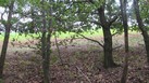 #4: South