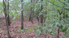 #5: West
