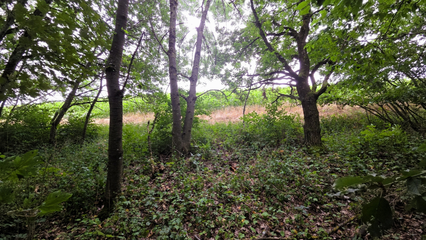view south