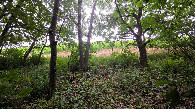 #4: view south