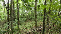 #5: view east